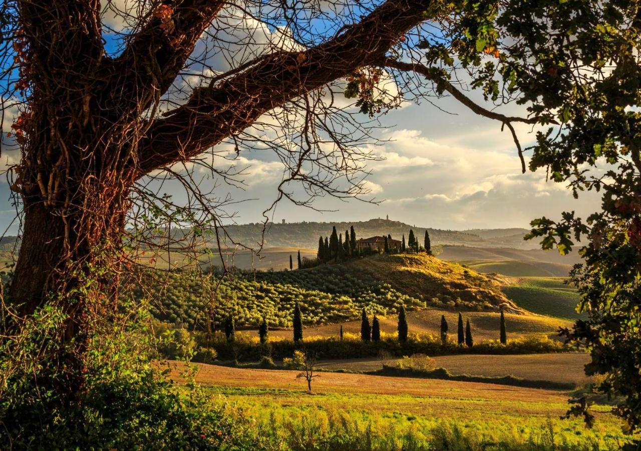 15 Min Da Montepulciano - Villa Chiara Montefollonico Esterno foto